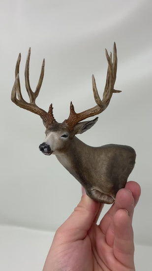 Deer Shoulder Mount Poses - Bing Images | Deer mount decor, Deer mount  ideas, Deer shoulder mount